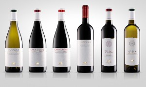 Azienda Vinicola Cherchi Giovanni Maria srl