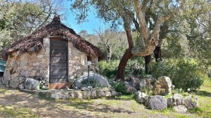 Agriturismo Su Grecu Di Frau