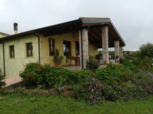 Agriturismo Nuraxi e Pinna