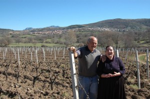 Cantina Giuseppe Sedilesu