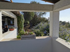 Garden Rooms