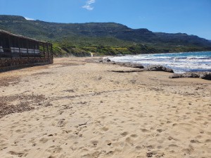 Spiaggia Di Poglina. Villanova Monteleone