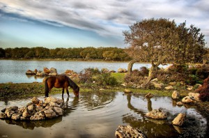 Centro Visite - Parco della Giara