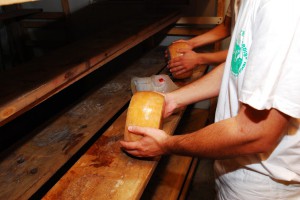 Caseificio Artigianale BauPardis di Frongia Maria