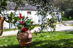 Agriturismo La Fattoria