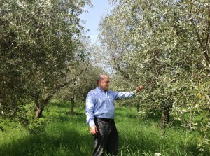 Azienda Agraria Bacci Noemio