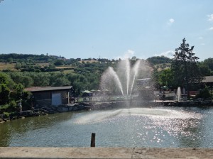 Azienda Agrituristica Petrilli