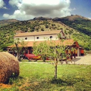 Il Pozzo Agriturismo