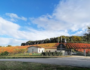 Cantina La Veneranda