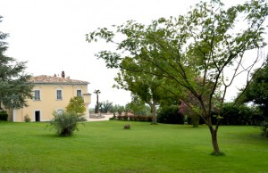 Tenuta Torellone