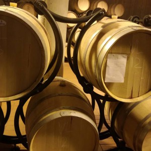 Cantina Monte Vibiano Vecchio