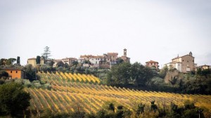 Piccola Cantina Rossi Vini Biologici Naturali