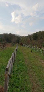 Agriturismo La Nuova Peschiera