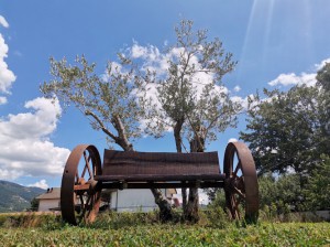 Agriturismo La Casa Vecchia