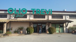 Società Agricola Trevi Il Frantoio Spa