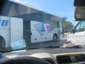 Noleggio Bus Ischia e Napoli Schiano Bus