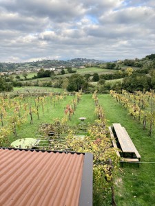 Temi di Terra (agriturismo)