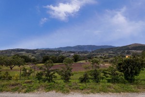 Casa Iuorio Azienda Agricola