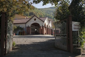 Cantine Apicella