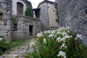 Agriturismo Borgo Cerquelle