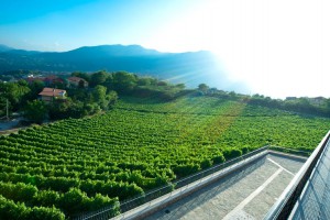 Agriturismo il Portico di Elena