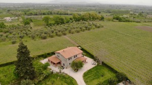 Azienda Agricola Cantina Zannini Domenico