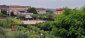 Agriturismo Masseria Grande