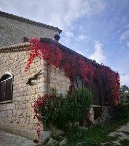 Agriturismo l'Agrifoglio