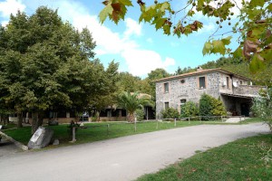 Agriturismo La Starza