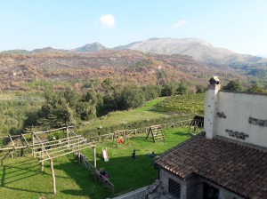 Agriturismo Le Vigne