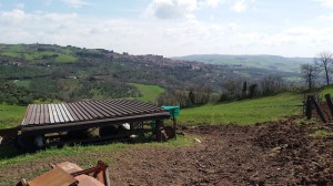 Agriturismo Nonna Cecilia