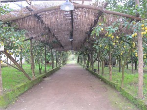 Il Convento Societa' Agricola A. R.L.