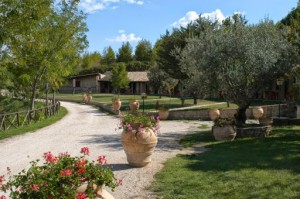 Agriturismo Il Poggio Dei Pettirossi