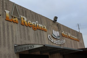 Caseificio La Regina Dei Mazzoni