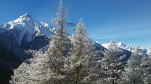 La Tza azienda agricola