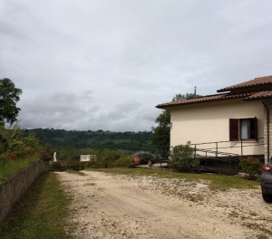 Agriturismo La Vite E L'ulivo