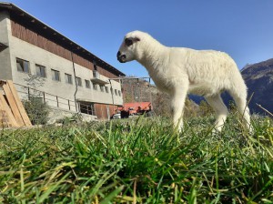 Agriturismo Soleil Levant