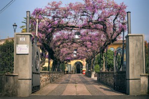 IL GLICINE B&B IN FRANCIACORTA