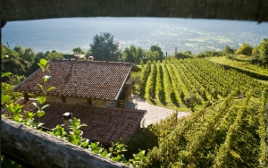 Agriturismo Ruc del Lac