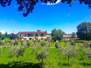 Agriturismo Monteroseo