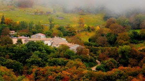 Agriturismo Ristorante Pettino