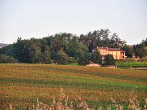 Agriturismo Bosco dei Poveri