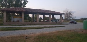 Ai Due Taxodi Di Azienda Agricola Pratolina Sas