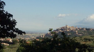 Agriturismo E Ristorante Le Vedute