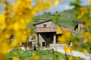 Agriturismo La Valle