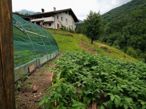 AGRITURISMO CASCINA CORNELLA