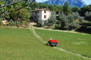 Azienda Agrituristica La Drupa