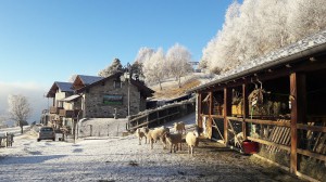 Agriturismo Giacomino