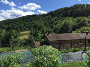 Agriturismo Il Talento Nella Quiete