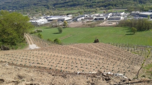 Azienda Agricola Folini